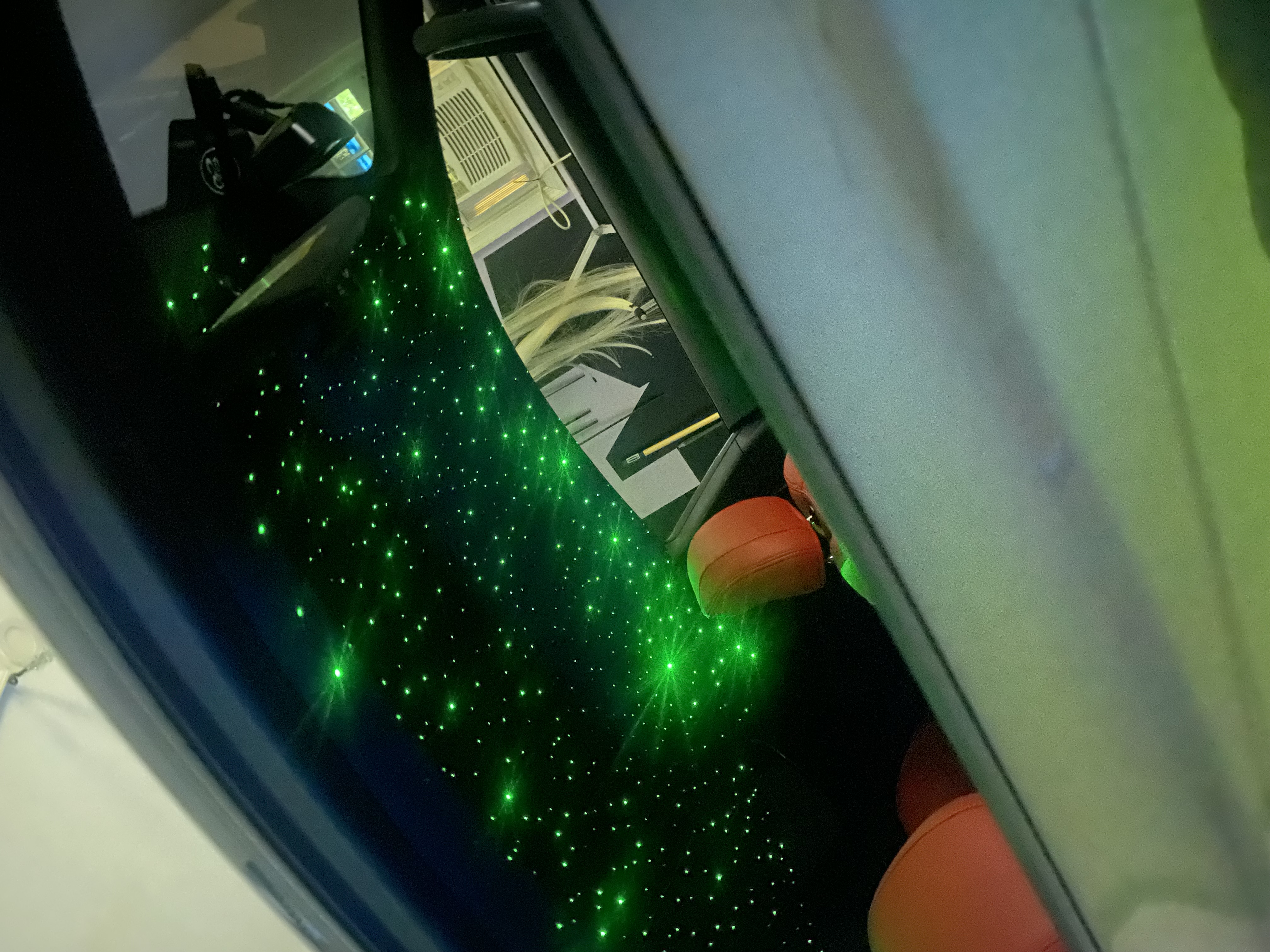 2016 Mustang GT 800 Count Starlight Headliner